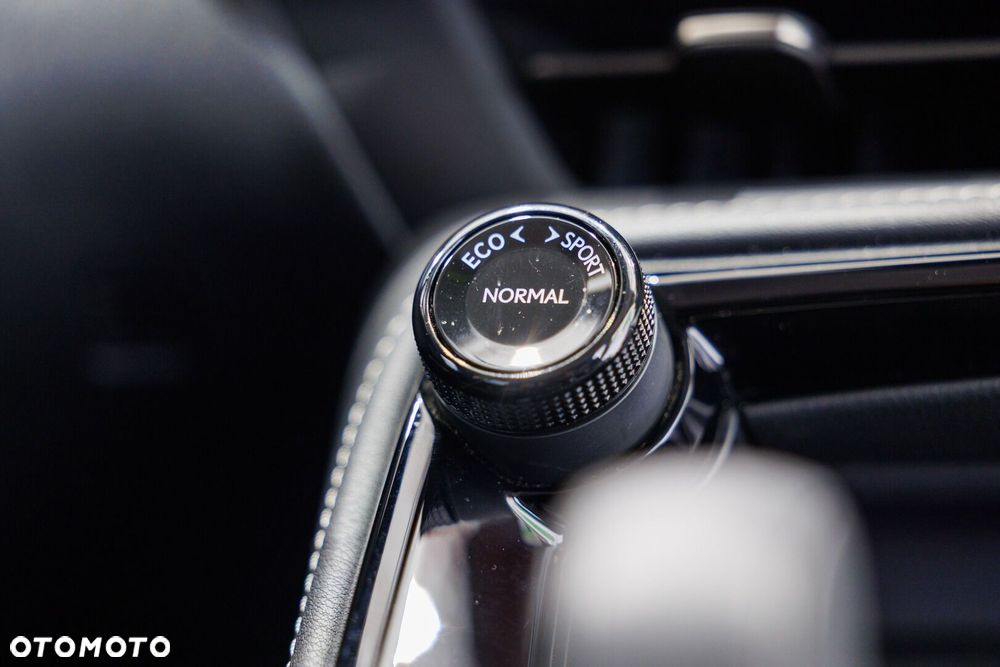 Lexus NX - 29
