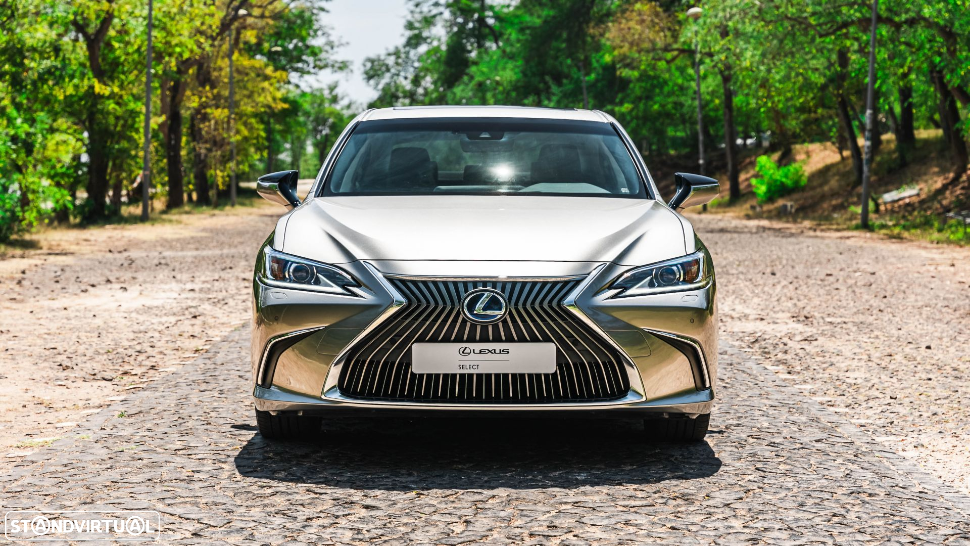 Lexus ES 300h Special Edition - 2