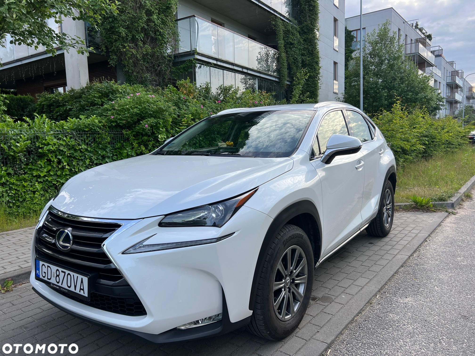 Lexus NX 300h Elite AWD - 6