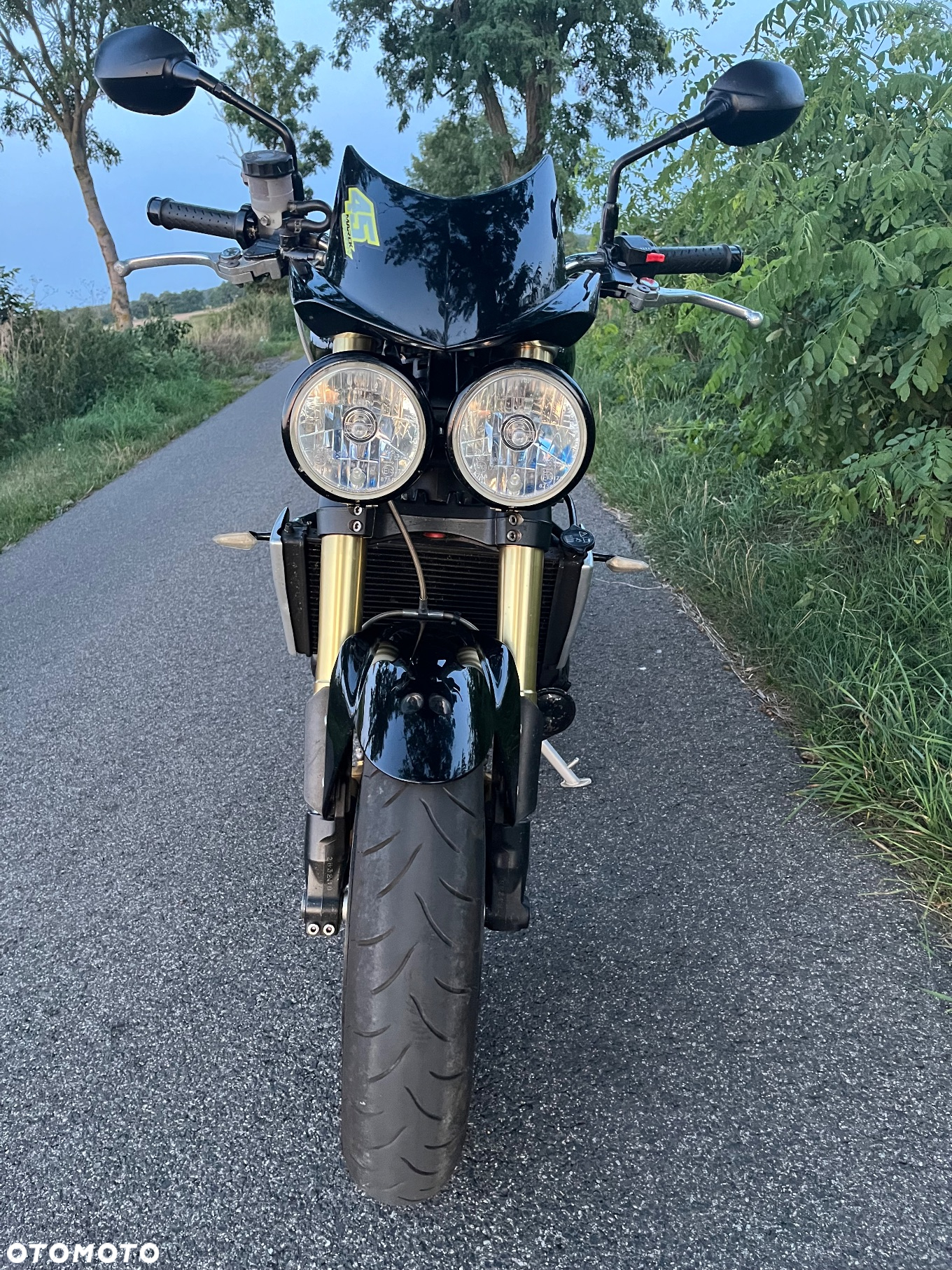 Triumph Speed Triple - 13