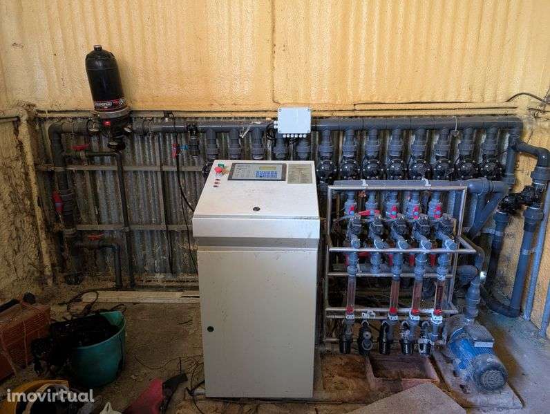 Arrenda-se duas estufas - Grande imagem: 5/7