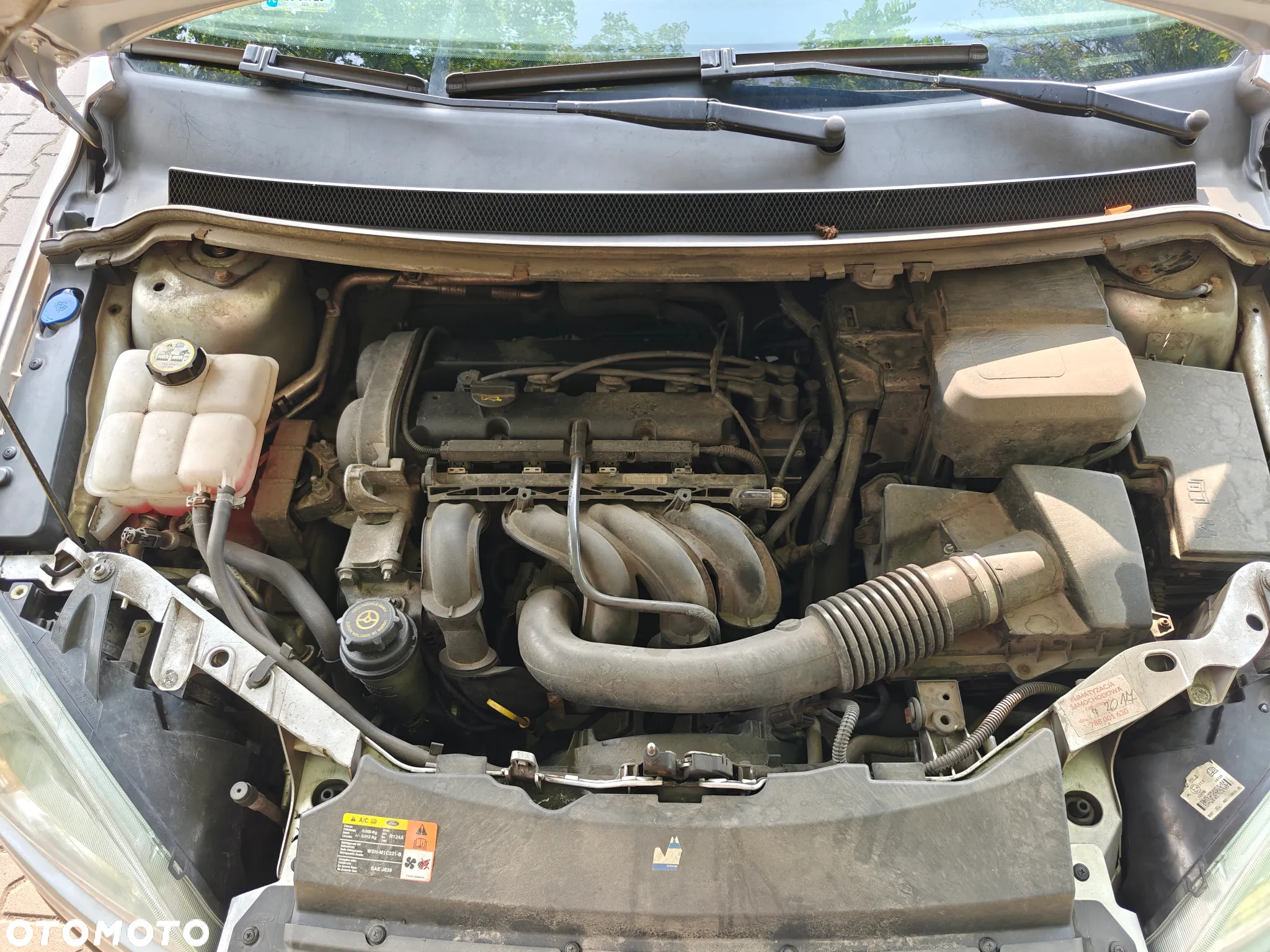 Ford Focus - 11