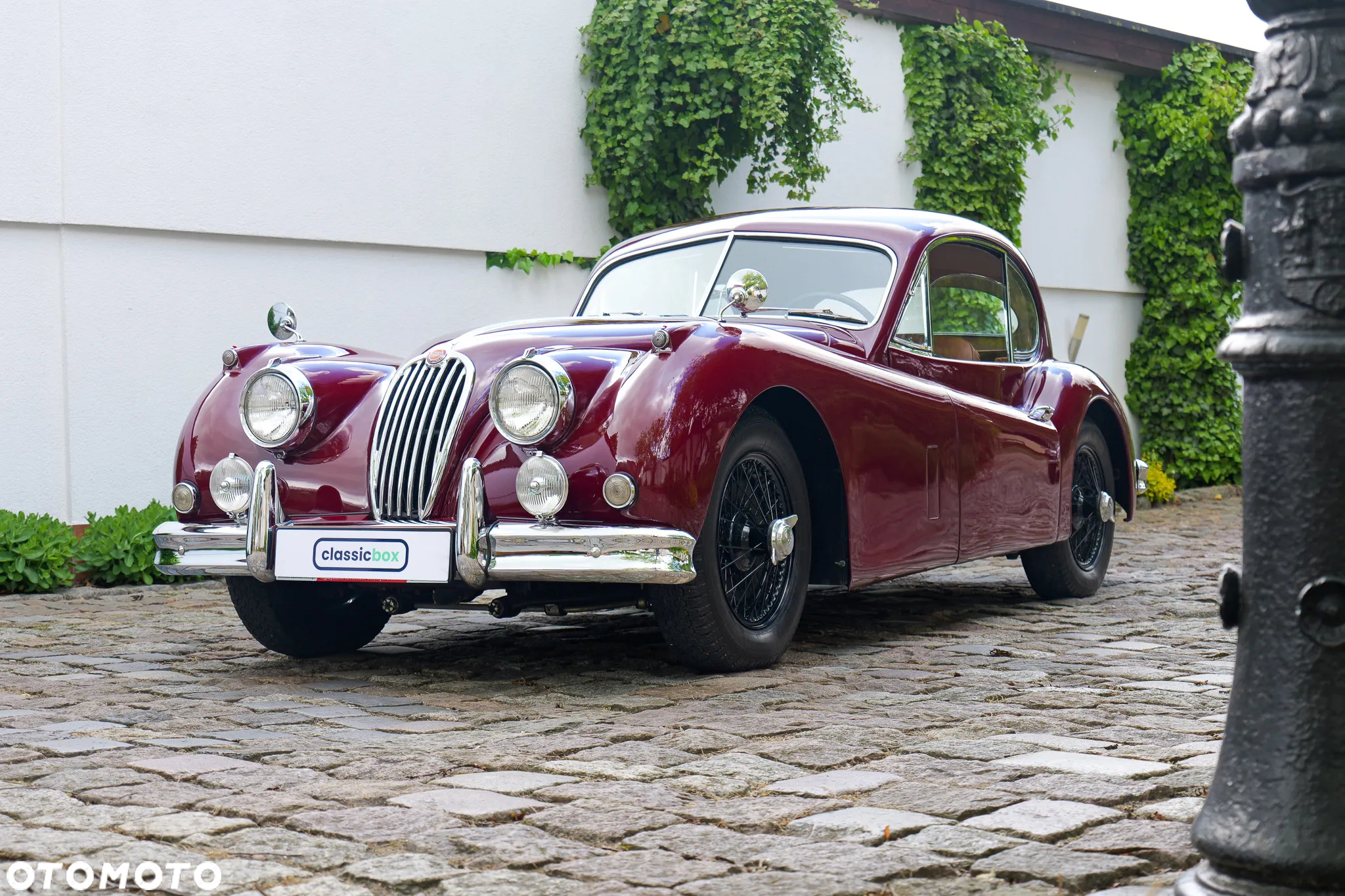 Jaguar XK - 41