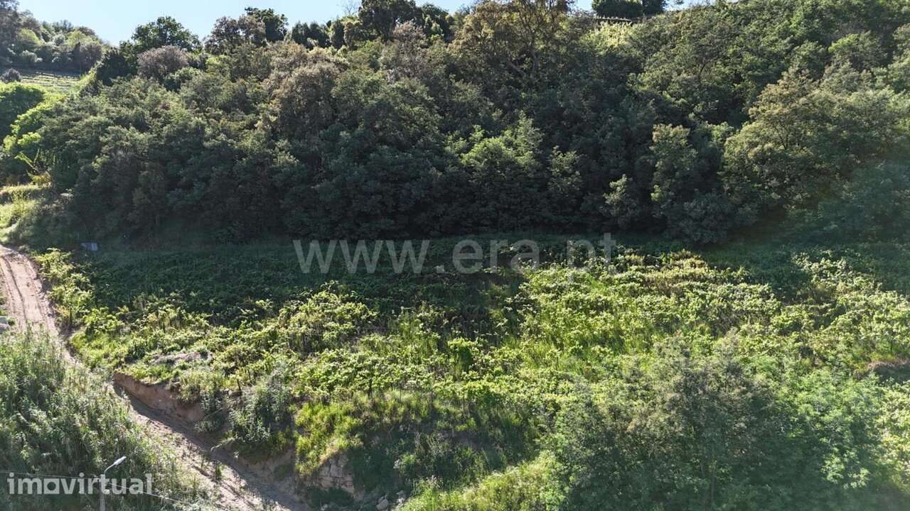 Terreno / Mesão Frio, Barqueiros - Grande imagem: 2/20