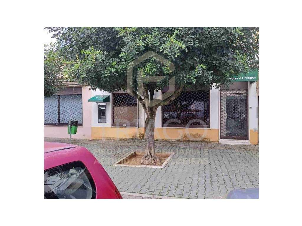LOJA COM 124m² EM ZONA NOBRE DE SALVATERRA DE MAGOS - Grande imagem: 3/6