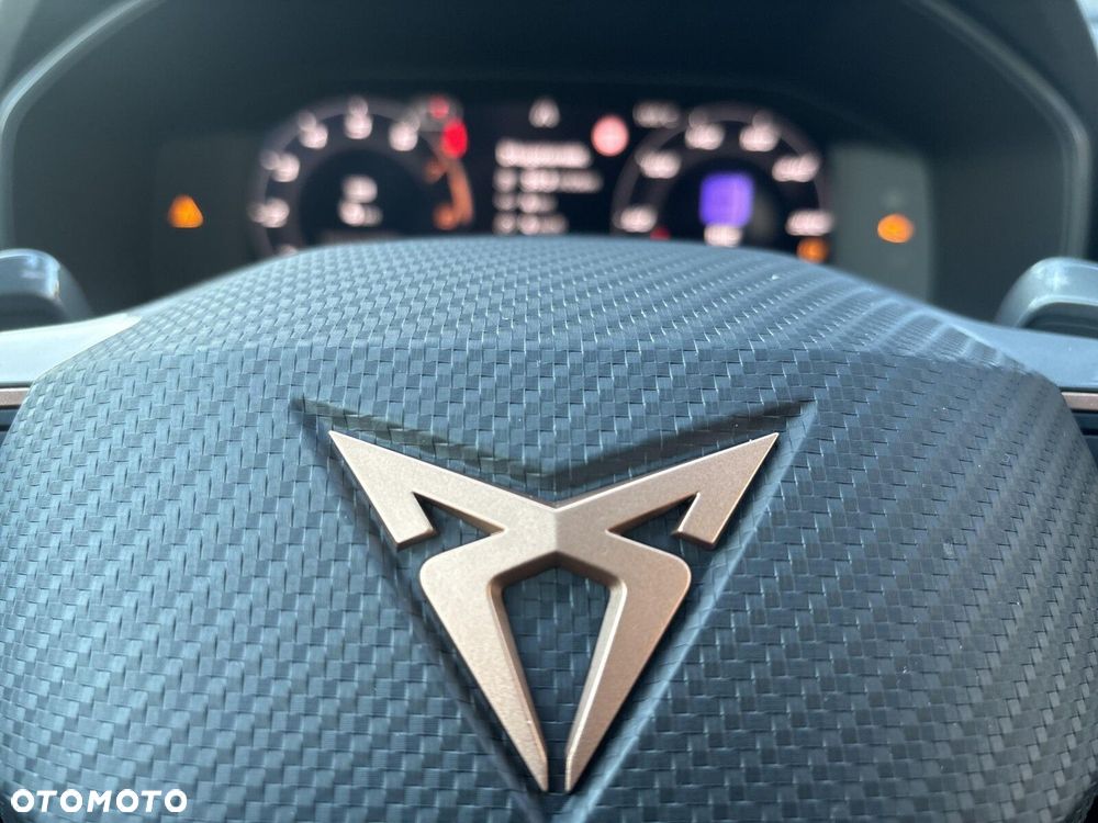 Cupra Formentor 2.0 TSI 4Drive DSG - 22
