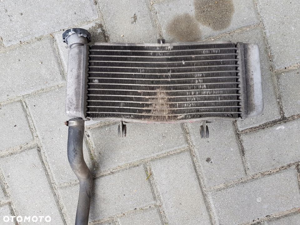 Honda CBR 250 300 chłodnica wiatrak - 1