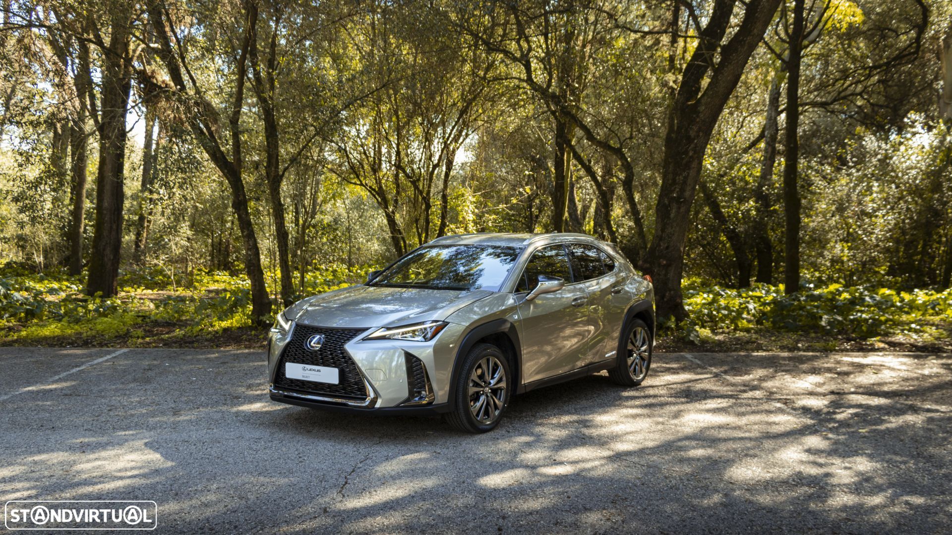 Lexus UX 250h F Sport - 1