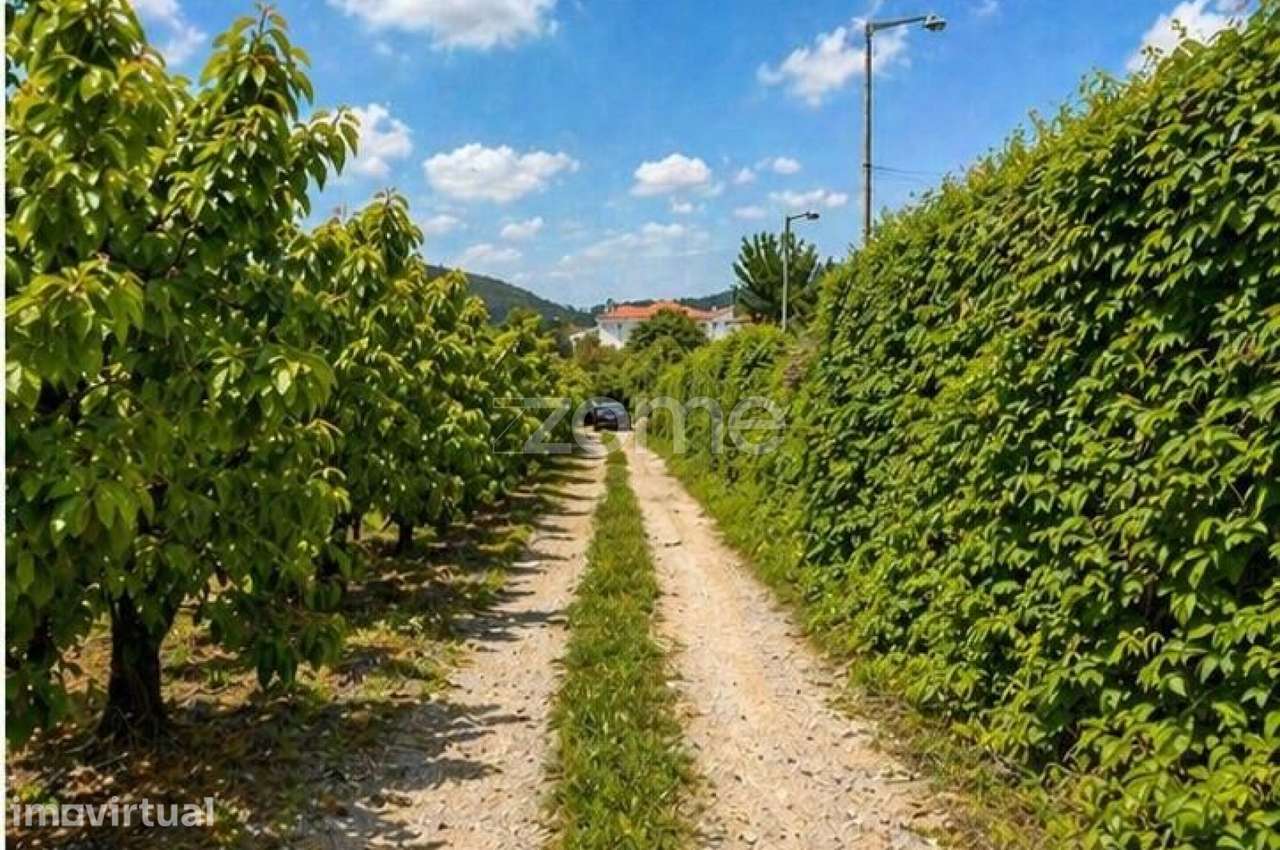 QUINTA no ALCAIDE – FUNDÃO - Grande imagem: 4/54