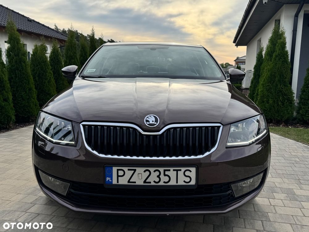 Skoda Octavia - 16