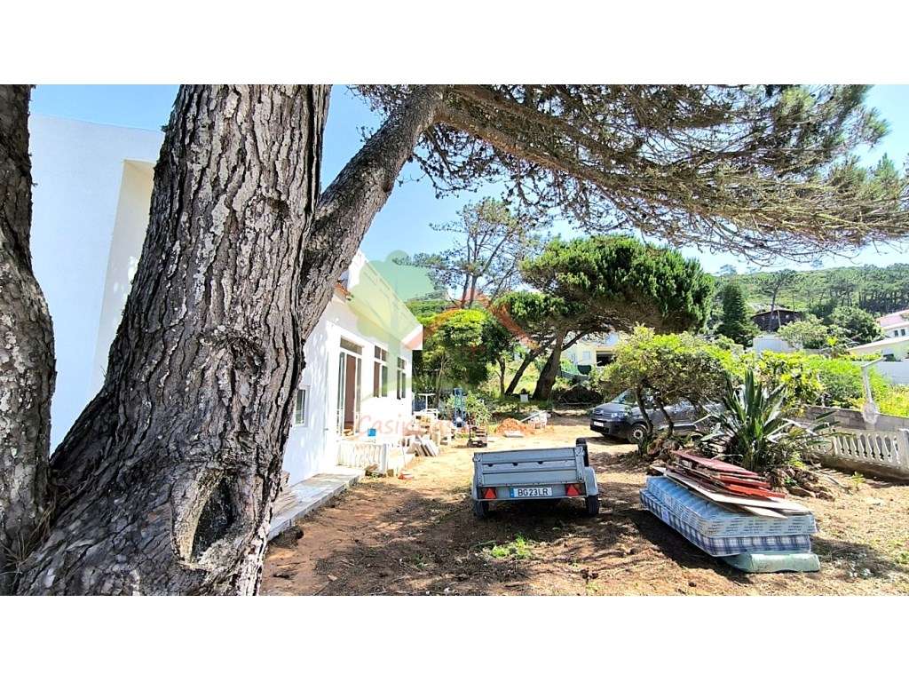 Arrenda-se Moradia T3 a 300 metros da Praia de São Julião - Grande imagem: 2/14