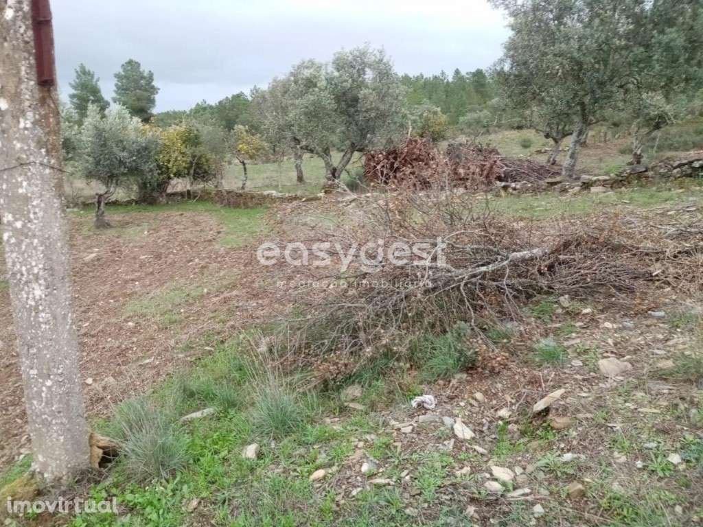 Terreno Rústico no centro das Benquerenças com bom acesso - Grande imagem: 5/11