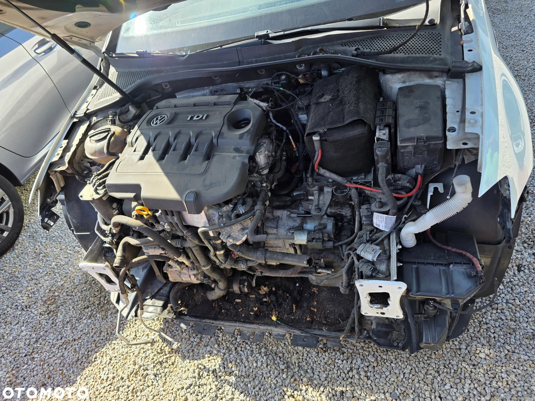 Volkswagen Golf - 5