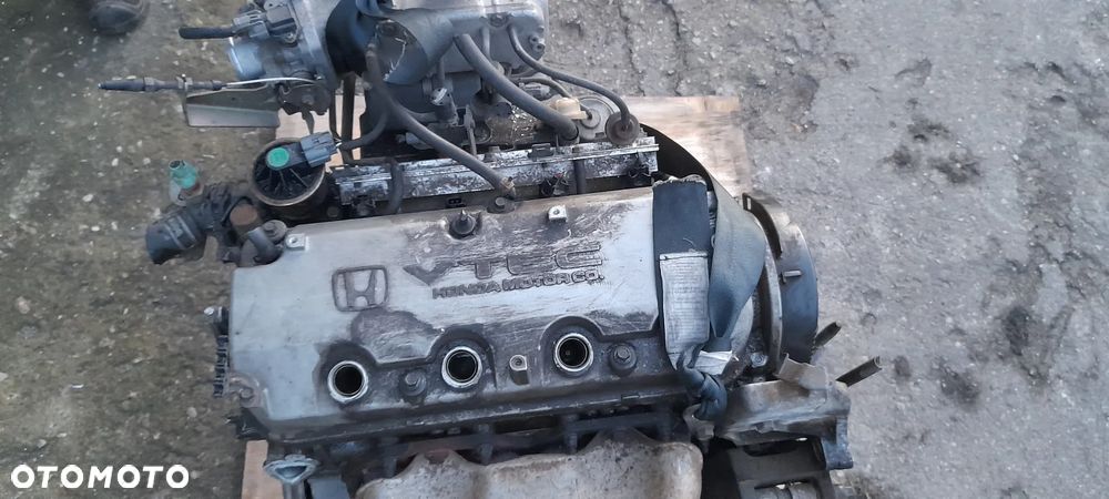 HONDA ACCORD VI  grill - 4