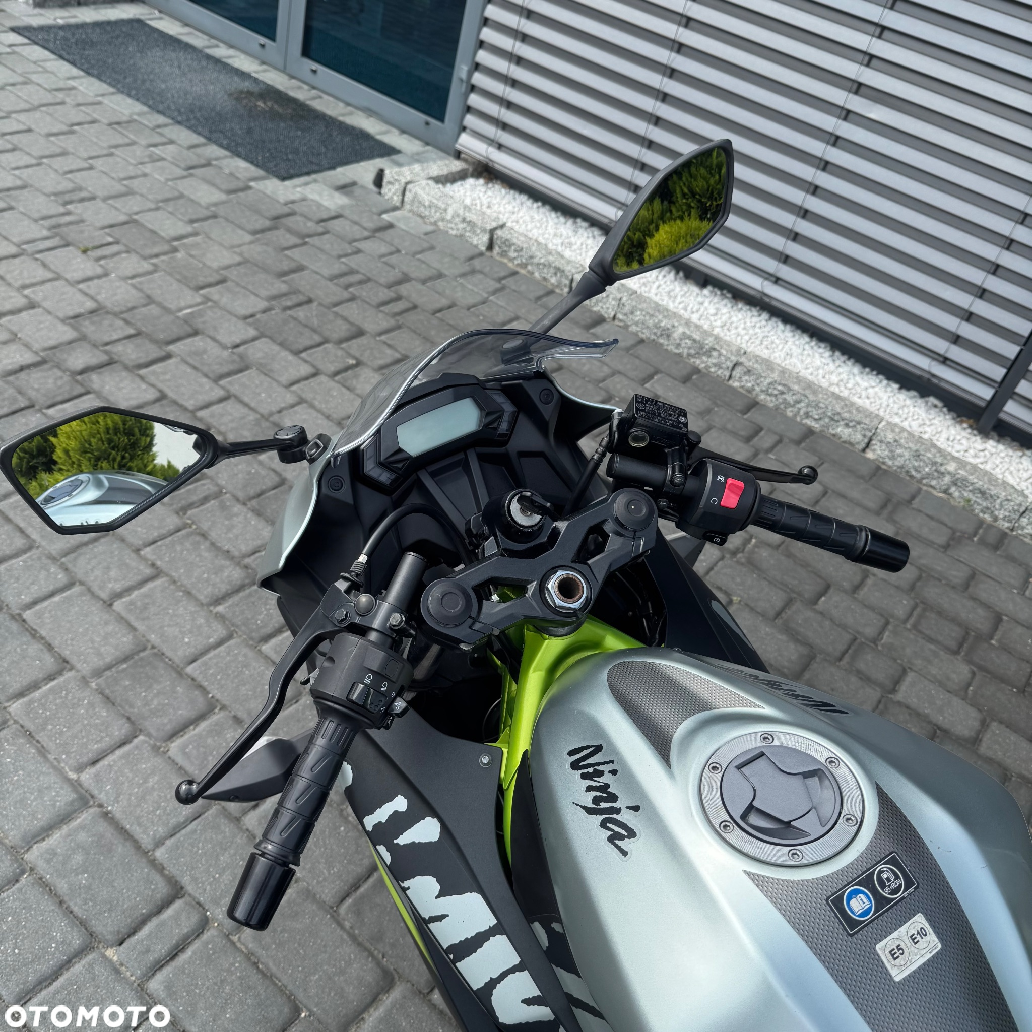 Kawasaki Ninja - 10