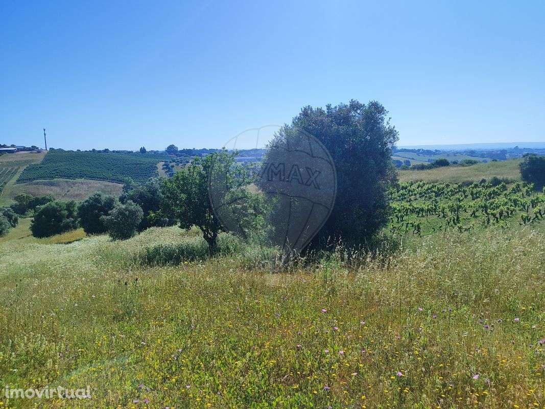 Terreno  para venda - Grande imagem: 3/5