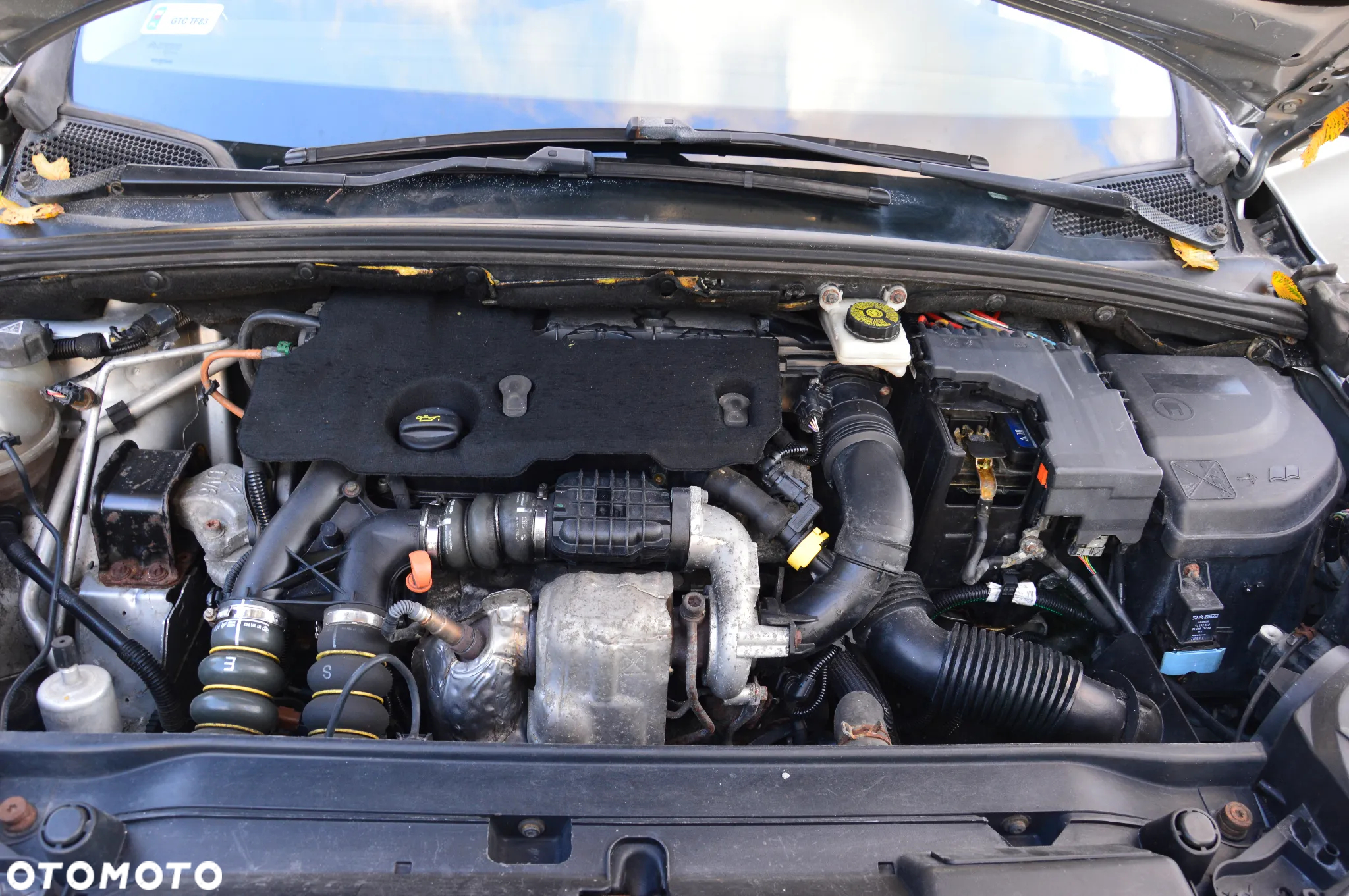 Citroën C4 - 18