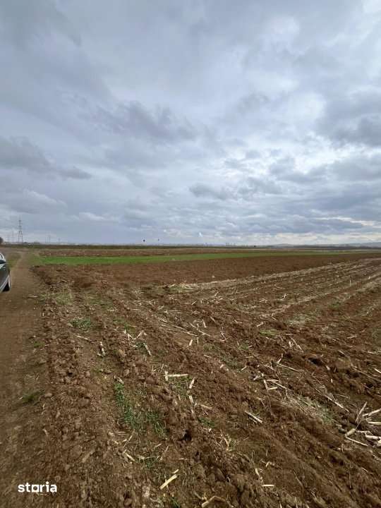 Teren extravilan 2500 mp,cu acces la Centura ,Radauti - Imagine principală: 2/7