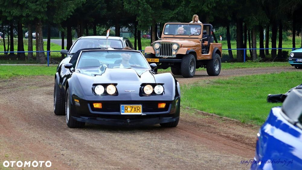 Chevrolet Corvette 1980 photo 3