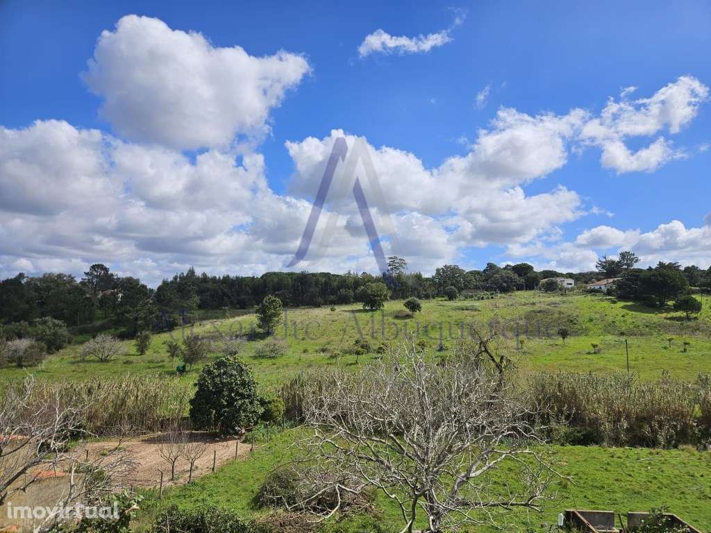 Dois Lotes de Terreno Agrícolas com vista Impar - Grande imagem: 2/5
