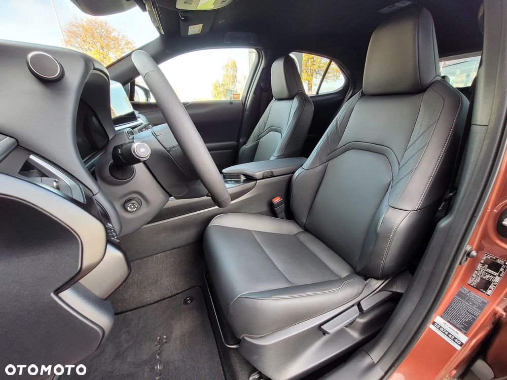 Lexus UX 300h F Sport Design - 11