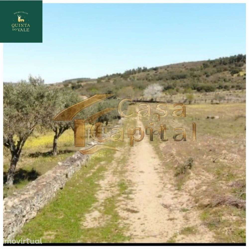 Quinta localizada na região nobre do Rio Douro Superior em Foz Côa - Grande imagem: 2/24
