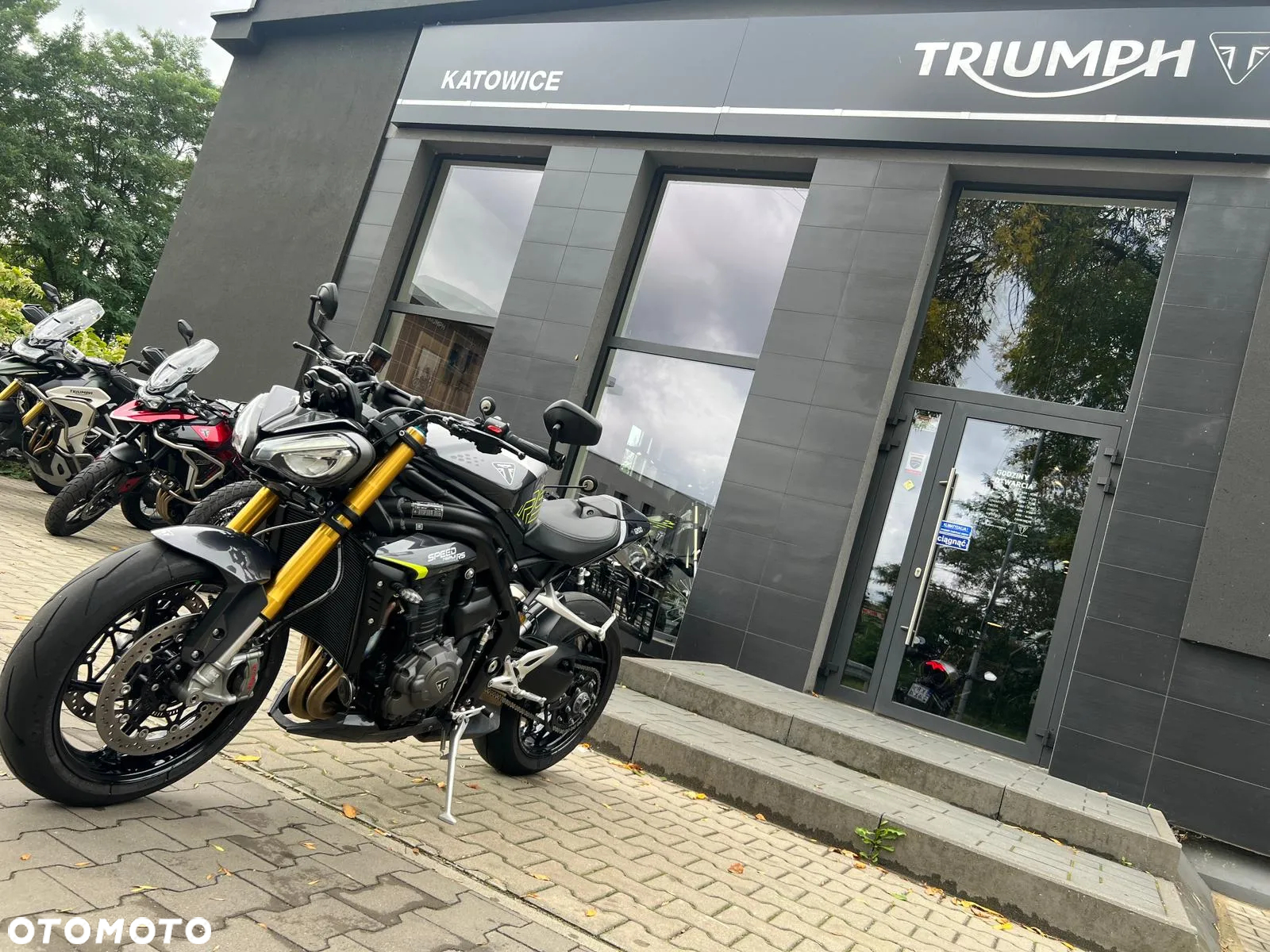 Triumph Speed Triple - 3
