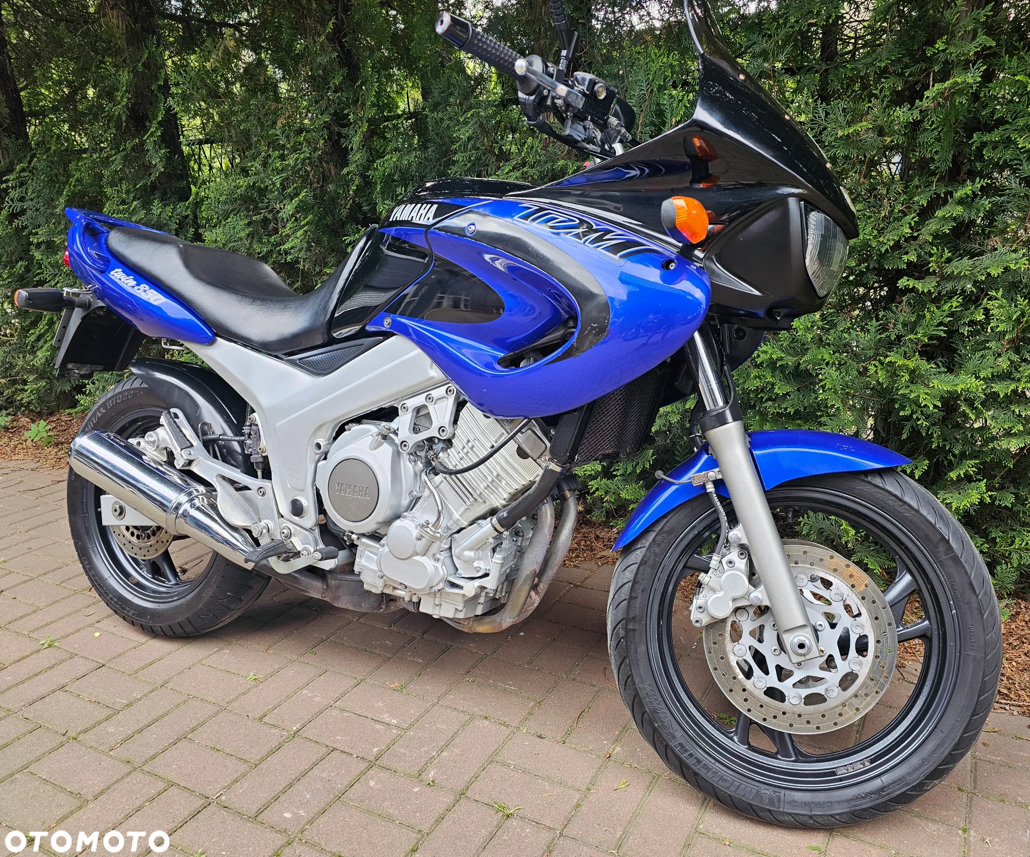 Yamaha TDM - 3