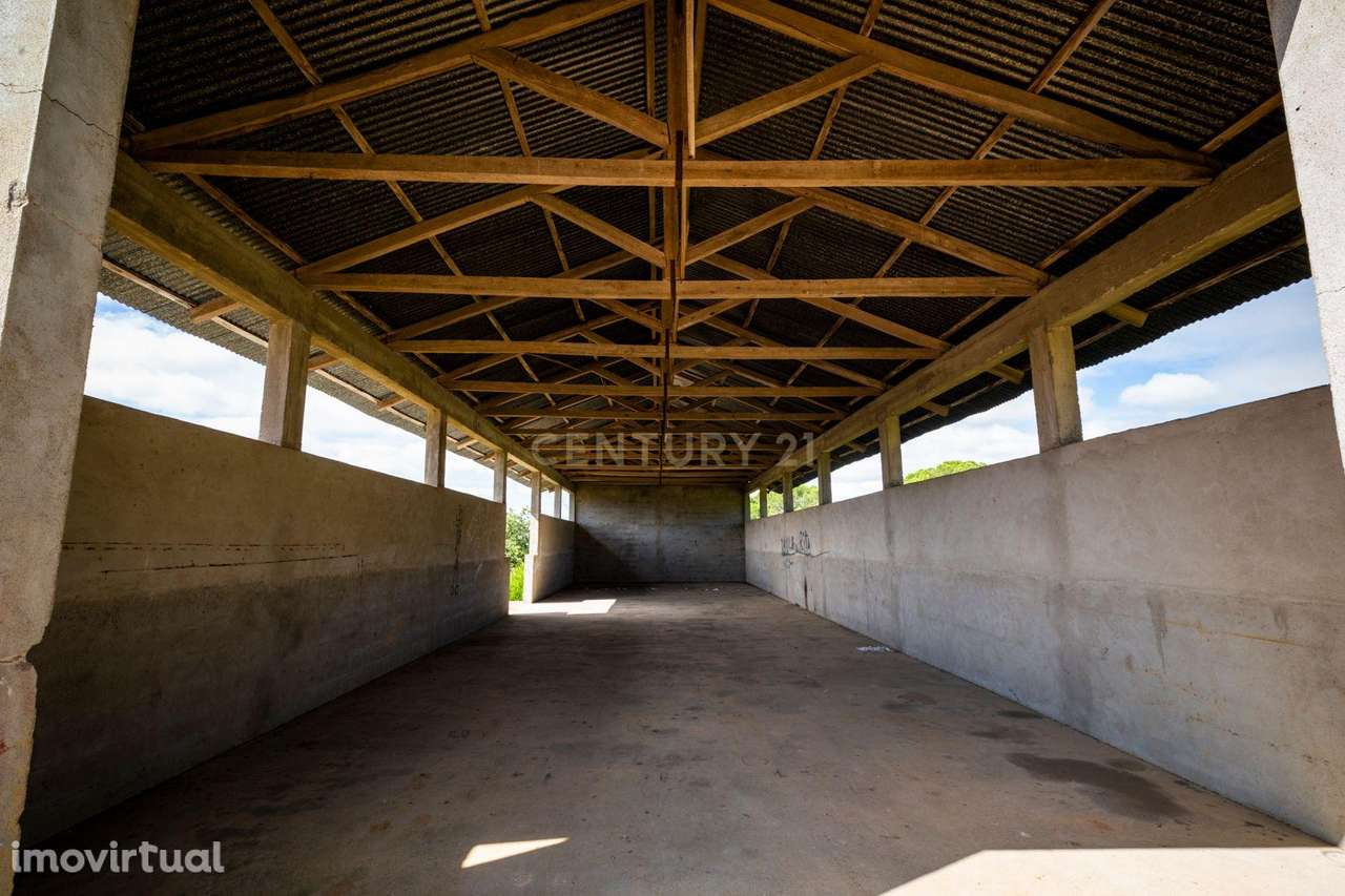 Quinta em Tomar - Grande imagem: 2/8