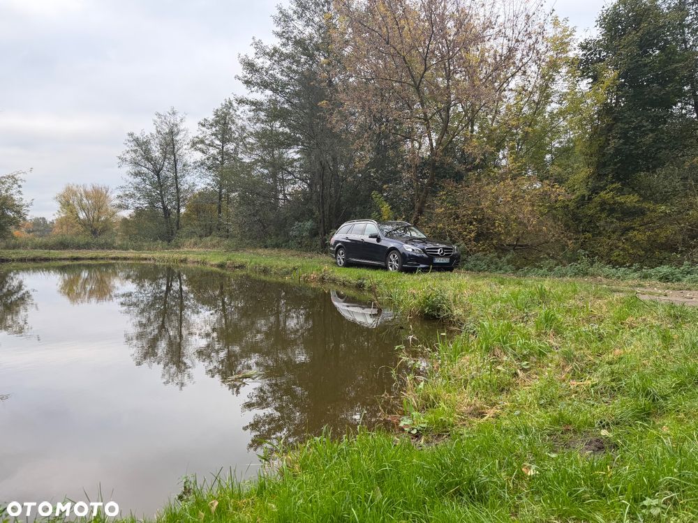 Mercedes-Benz E-Class 2014 photo 4