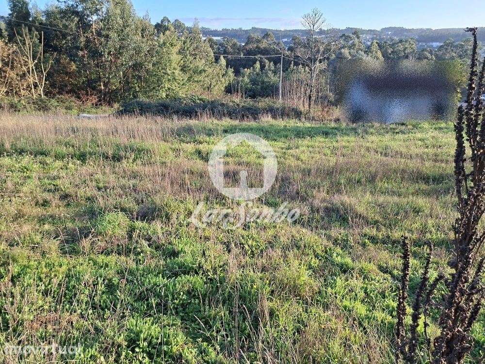 Moradia para Restauro com terreno de 6.478m2 em Arnoso Sta. Maria, ... - Grande imagem: 3/22