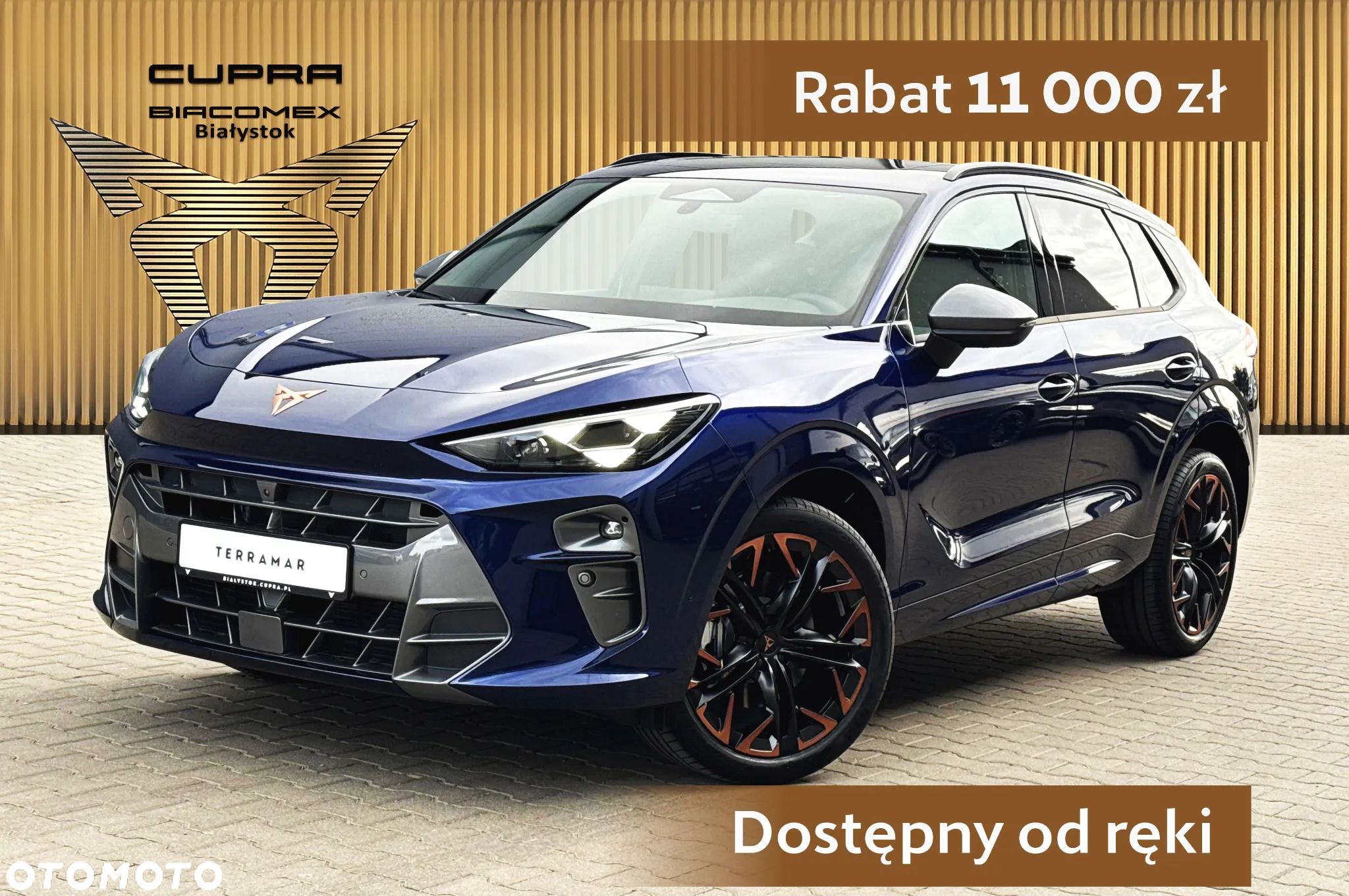 Cupra Terramar 2.0 TSI 4Drive DSG - 1