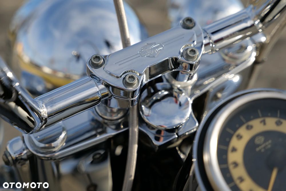Harley-Davidson Softail Deluxe - 16