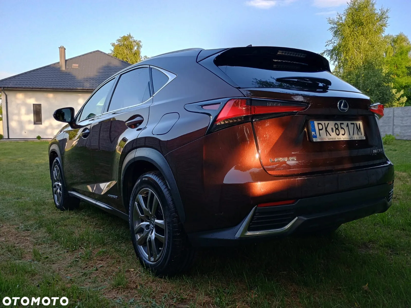 Lexus NX 300h Elegance AWD - 18