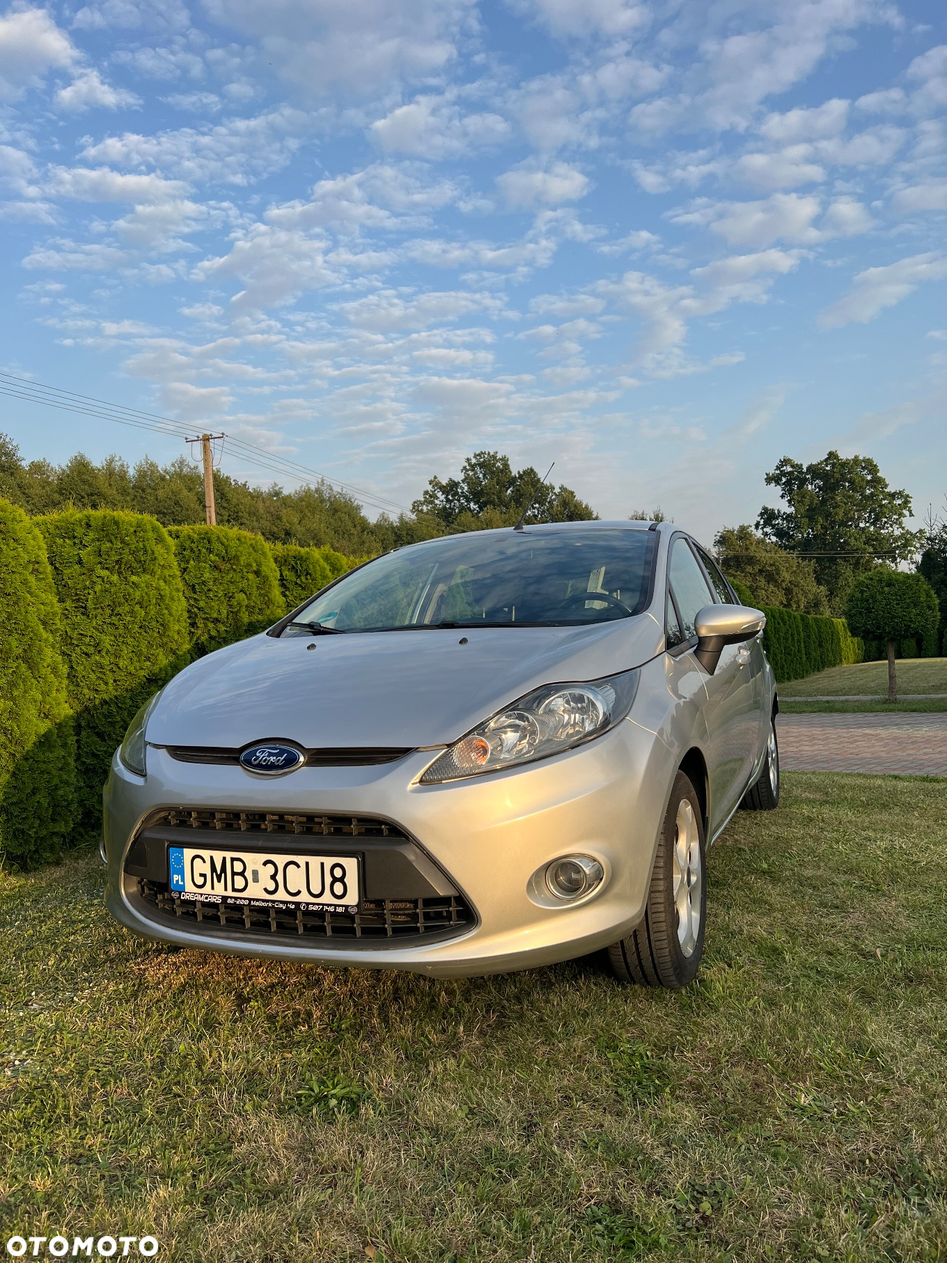 Ford Fiesta - 3