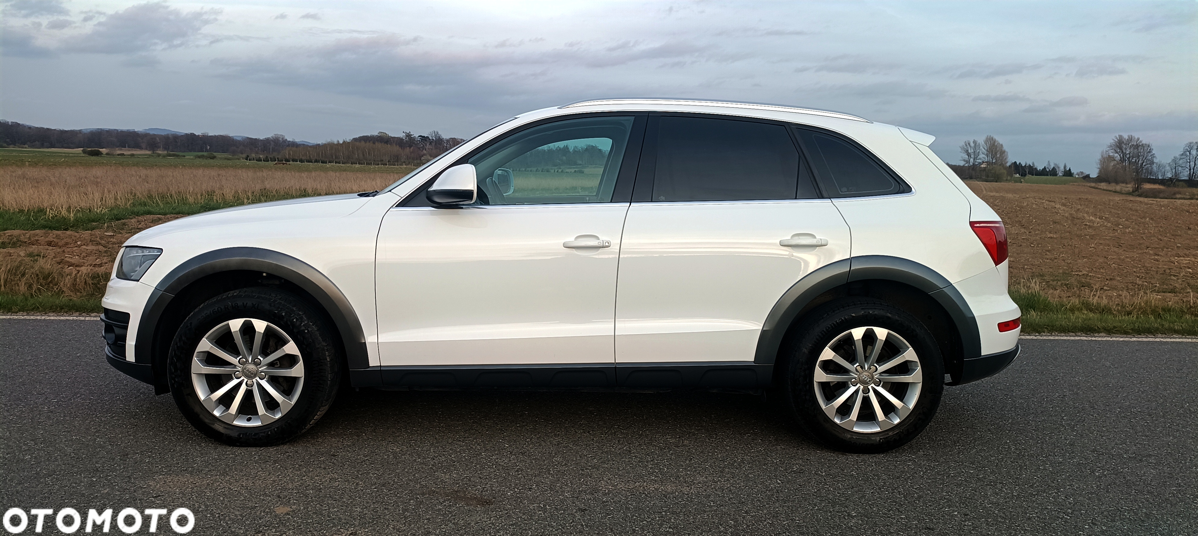 Audi Q5 2.0 TDI Quattro S tronic Prime Line - 7