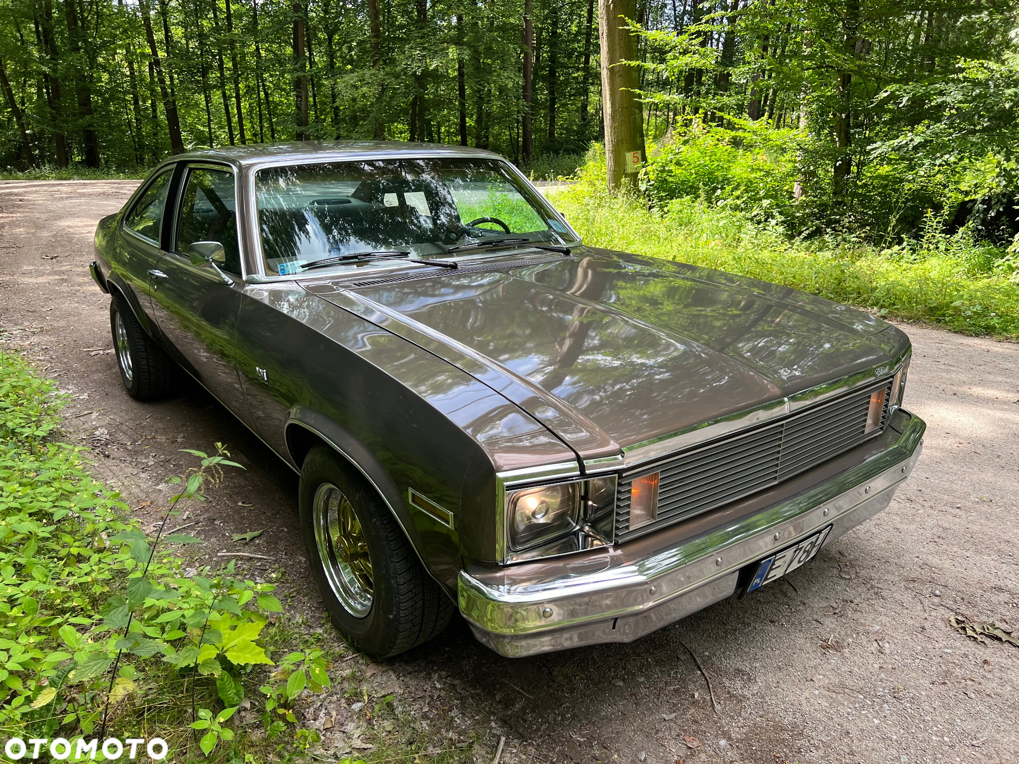 Chevrolet Nova - 14