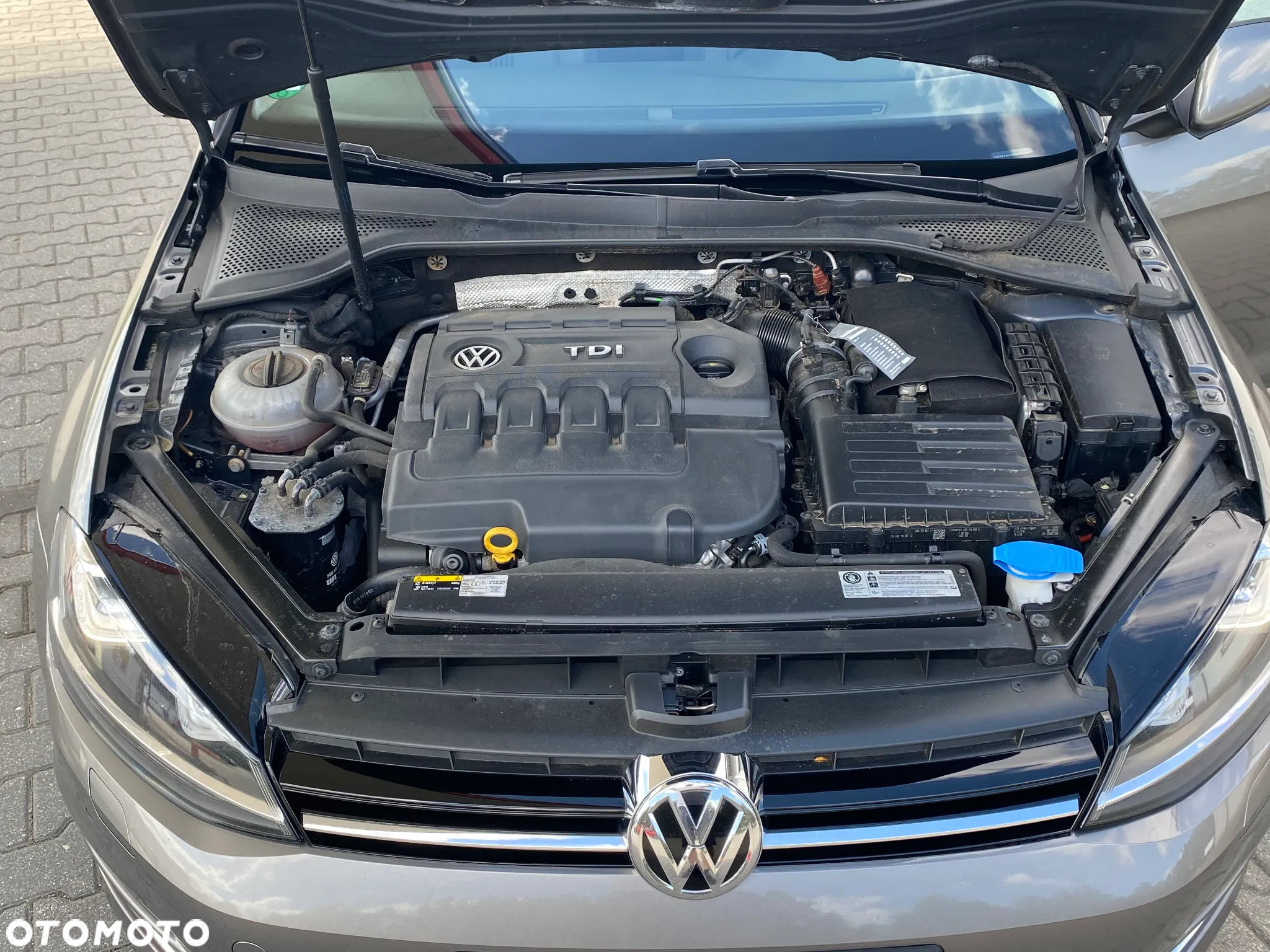 Volkswagen Golf - 40