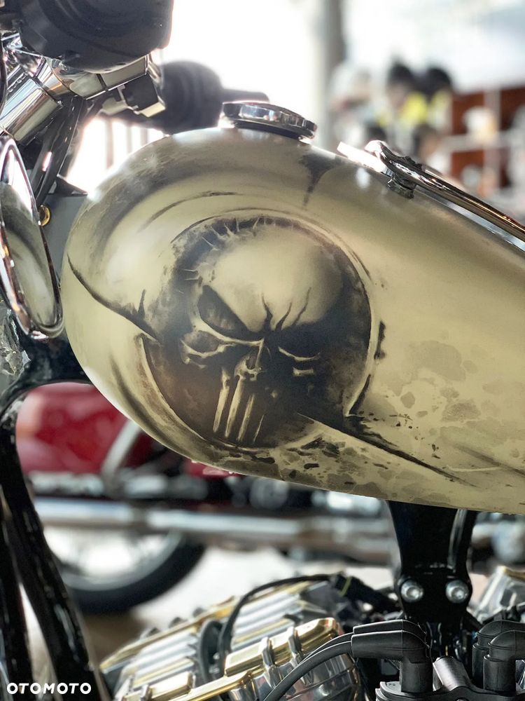 Harley-Davidson Softail - 5