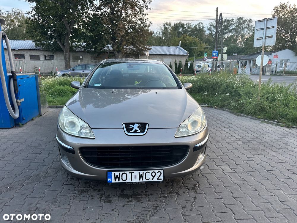 Peugeot 407 2.0 HDI Intense - 2