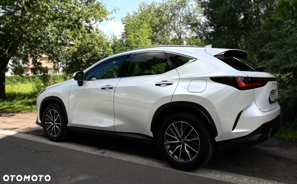 Lexus NX - 19
