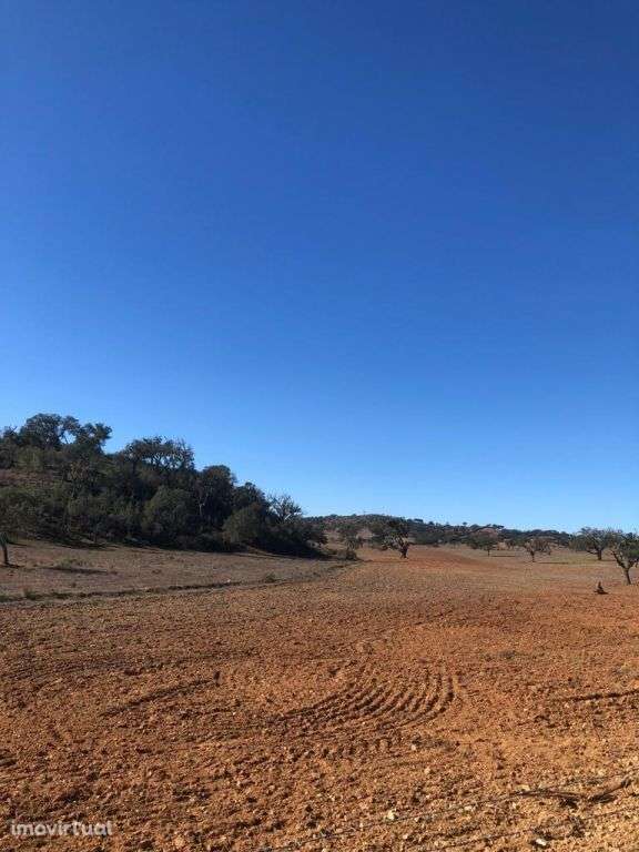 Terreno Rústico 18.1 ha, Cercal do Alentejo, Santiago do Cacem - Grande imagem: 5/60