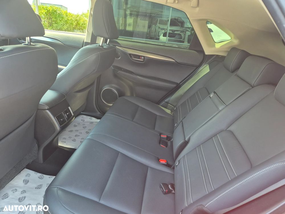 Lexus Seria NX 300h AWD Business Plus - 19
