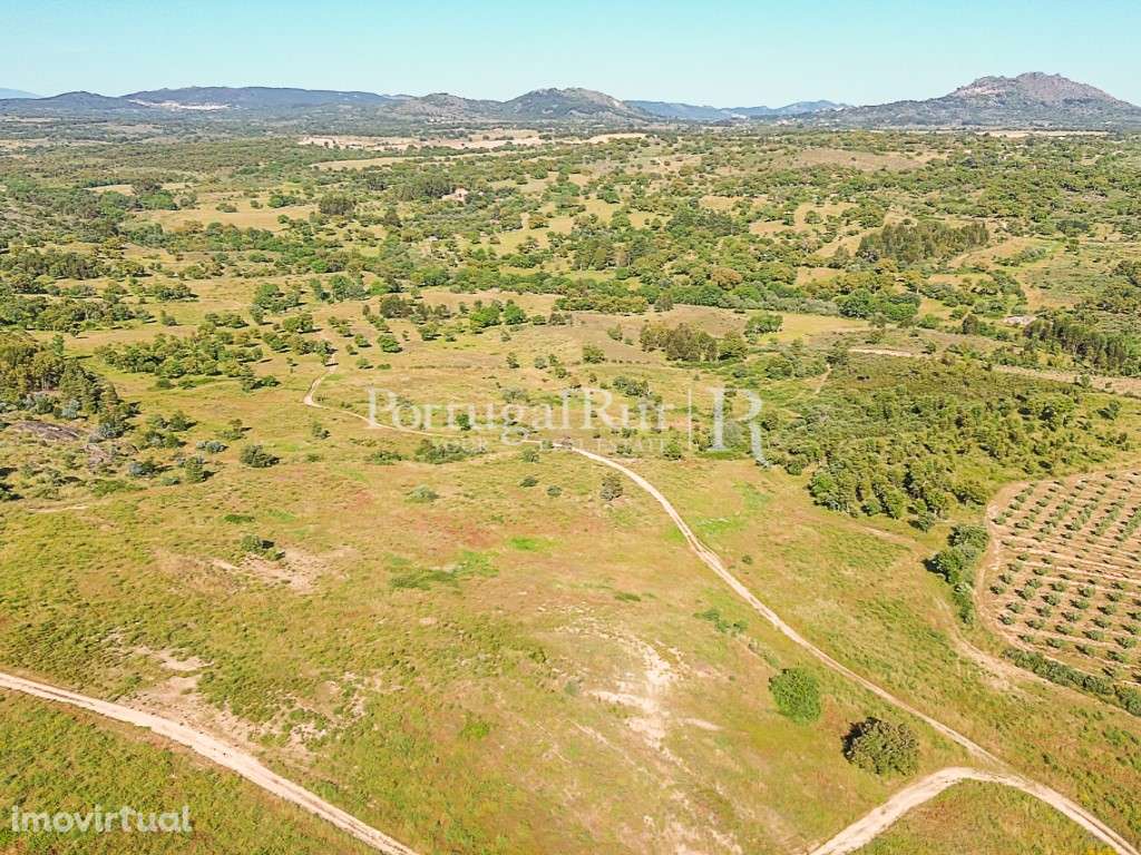 Quinta com 19,6 hectares ideal para projetos agroflorestais - Grande imagem: 3/27