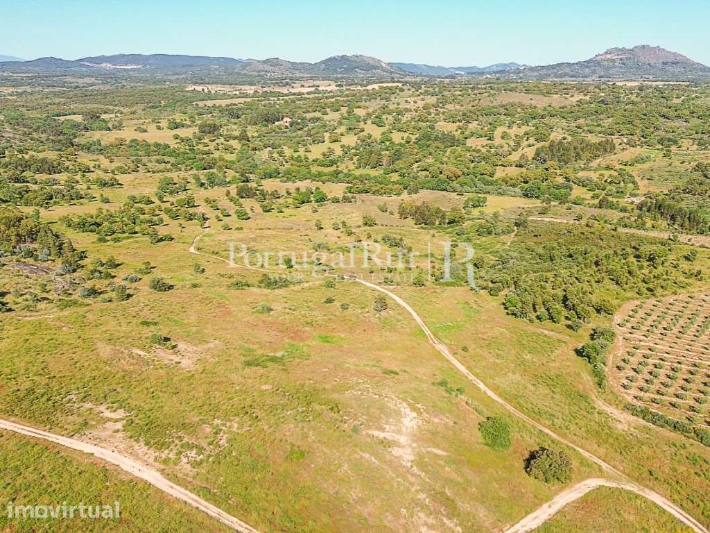 Quinta com 19,6 hectares ideal para projetos agroflorestais - Grande imagem: 3/27