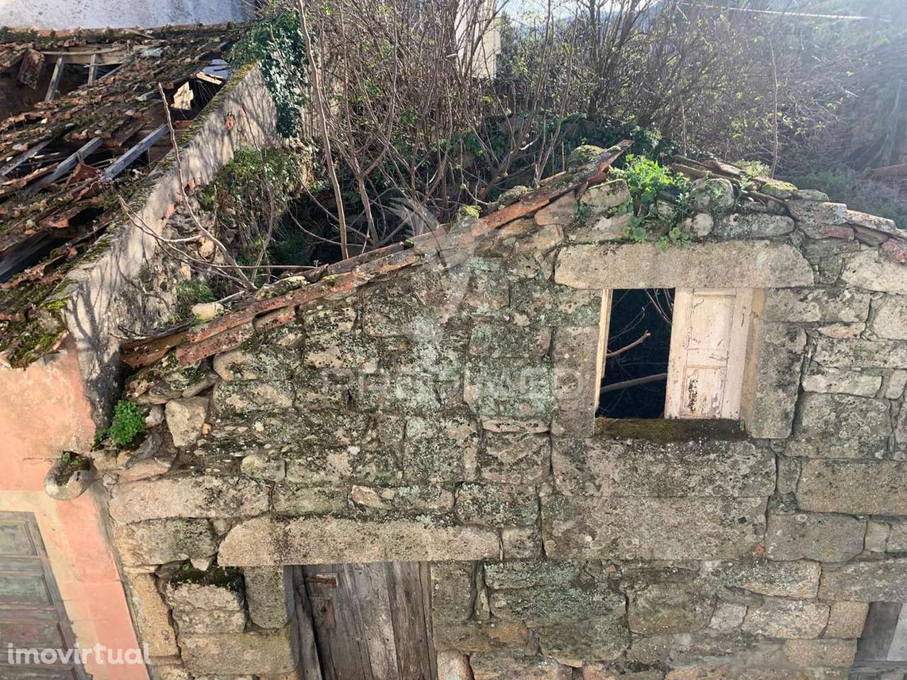 RUINA - Douro Vinhateiro ( Alijó ) - Grande imagem: 3/5