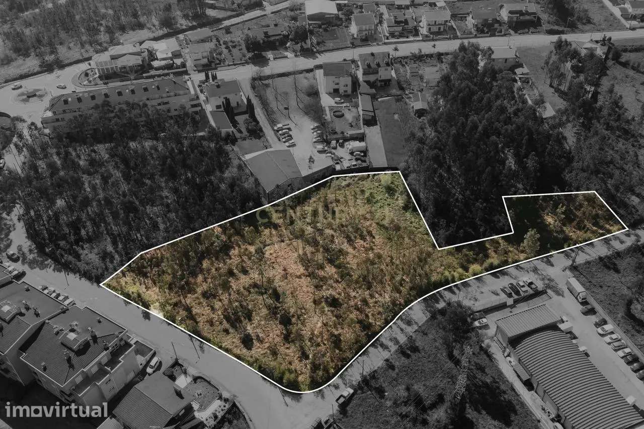 Terreno Urbanizado 6.630m2 - Lobão - Grande imagem: 2/5