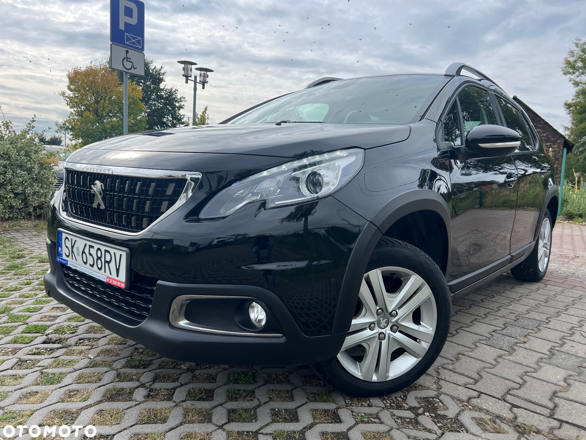 Peugeot 2008 1.2 Pure Tech Signature - 21