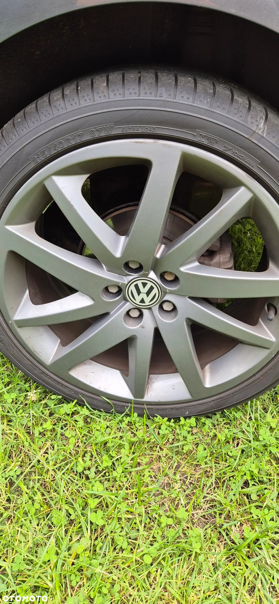 Volkswagen Polo - 15