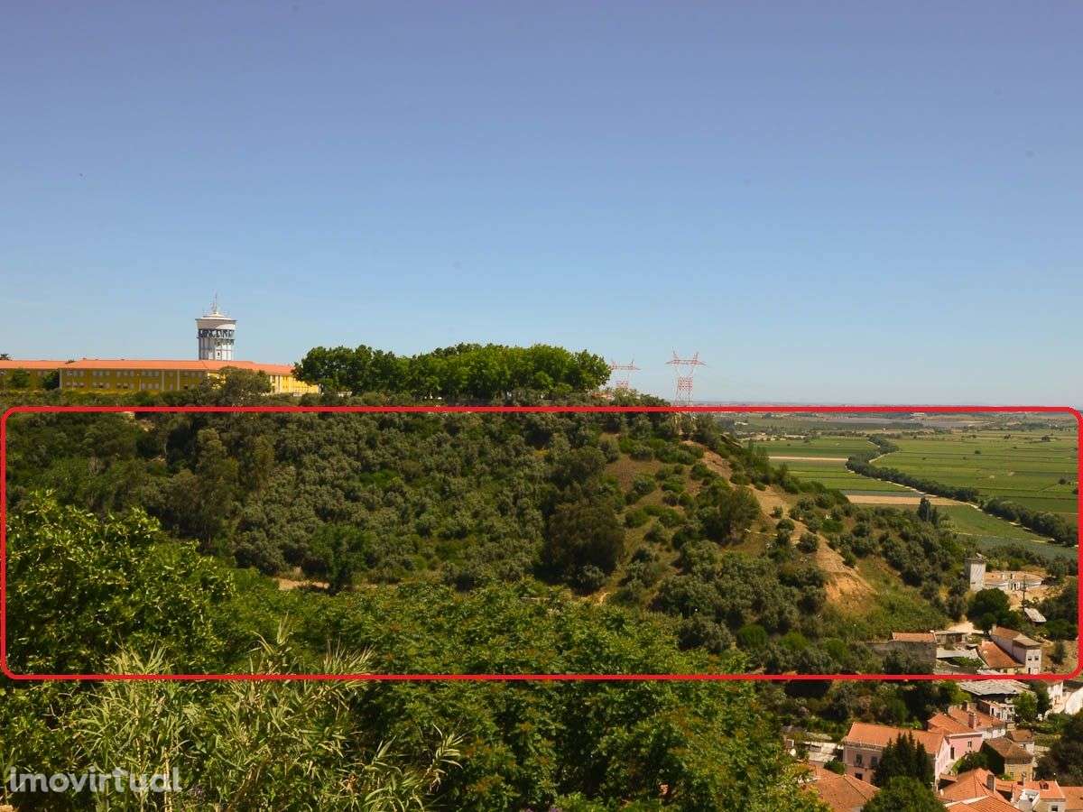 Moradia em Ruínas com Vista para o Rio Tejo - Grande imagem: 5/32